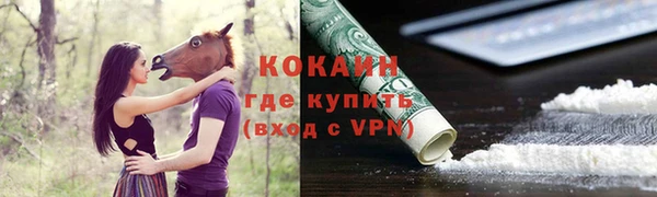 a pvp Белокуриха